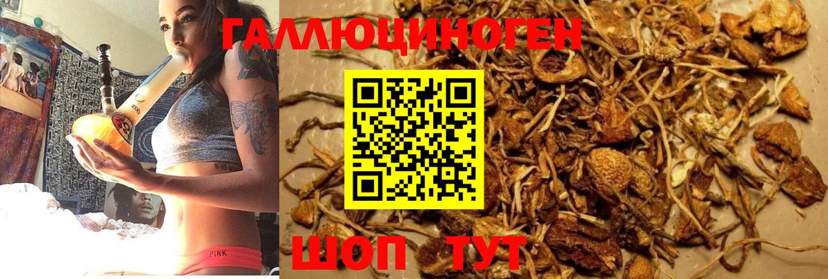 Галлюциногенные грибы мицелий  Галлюциногенные грибы мицелий  Вход с VPN  Еманжелинск 